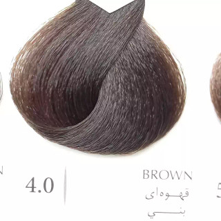 رنگ مو قهوه ای کد 4.0 برند پرویت